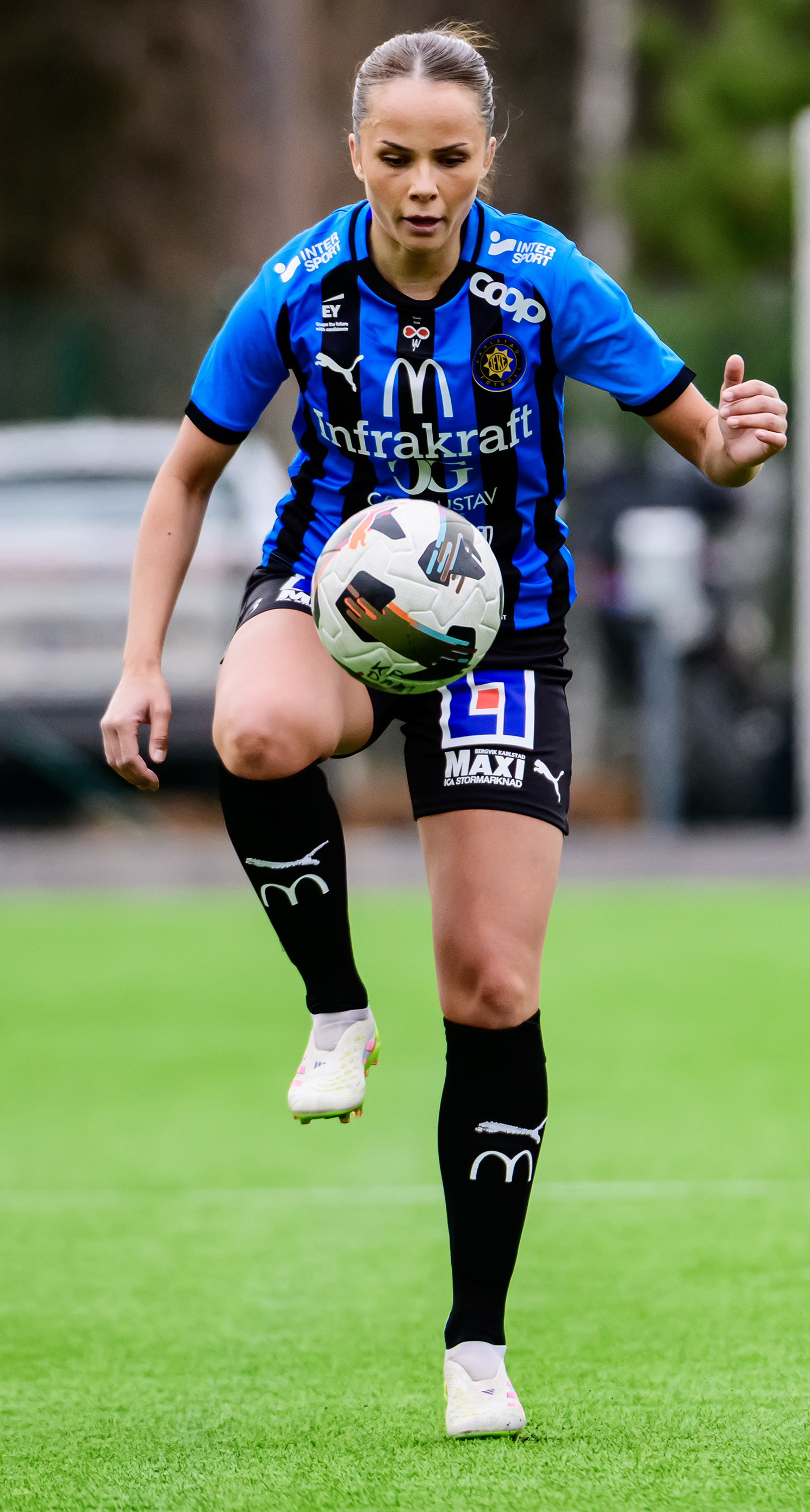 260412KaFoDBoo17 Hak